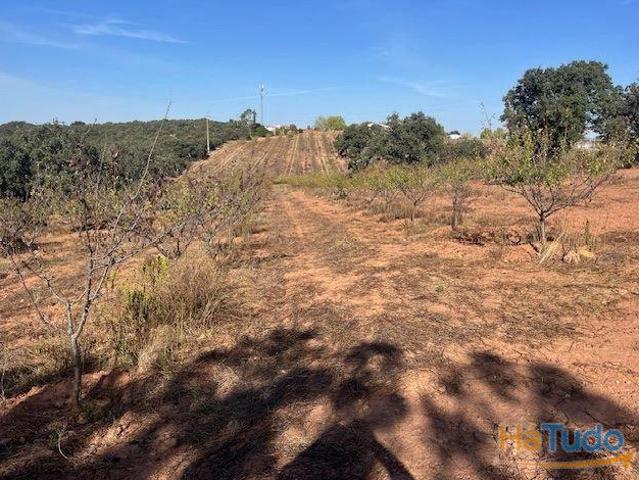 Quinta venda em Estremoz, Évora