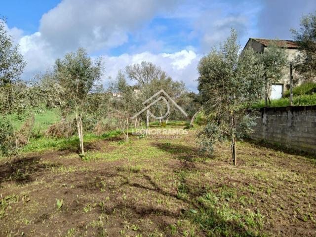 Terreno venda em Castelo Branco, Cumeada