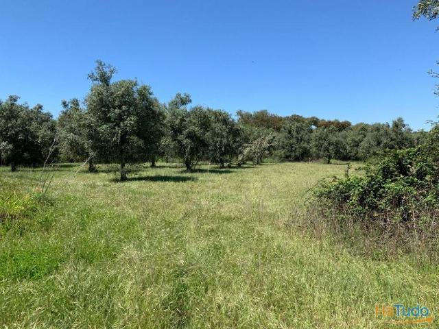 Quinta venda em Ourique, Beja