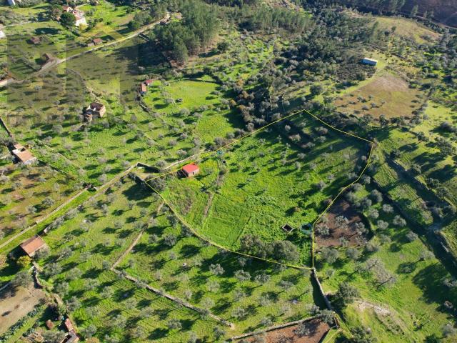 Quinta venda em Castelo Branco, Vila Velha De Ródão