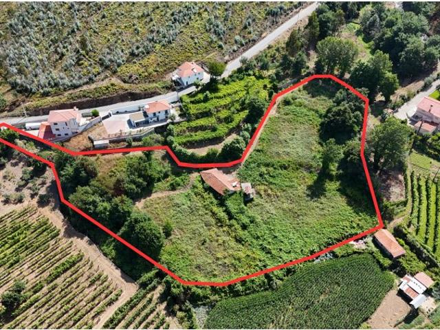 Quinta venda em Felgueiras, Pinheiro