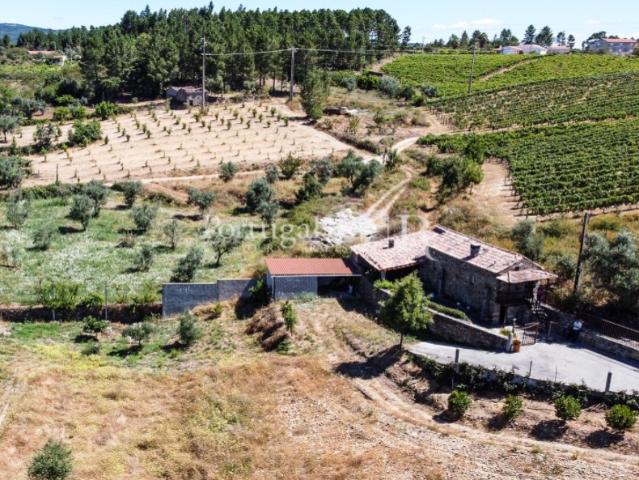 Quinta venda em Castelo Branco, Proença-a-nova