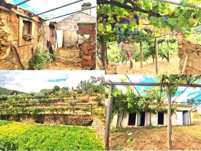 Quinta venda em Pedrógão Grande, Leiria