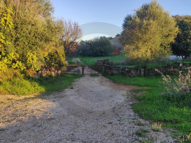 Terreno venda em Alcanena, Santarém