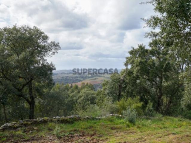 Casa venda em Abrantes, Santarém