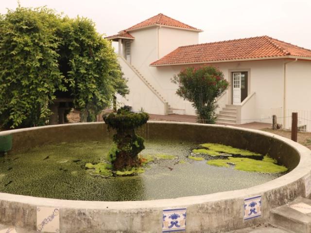 Quinta venda em Seara, Seara