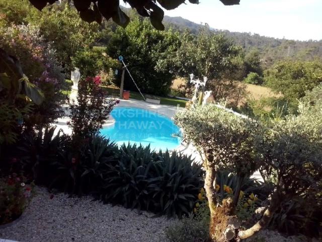 Quinta venda em Vouzela, Viseu