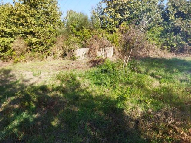 Quinta venda em São Cristóvão De Nogueira, Viseu