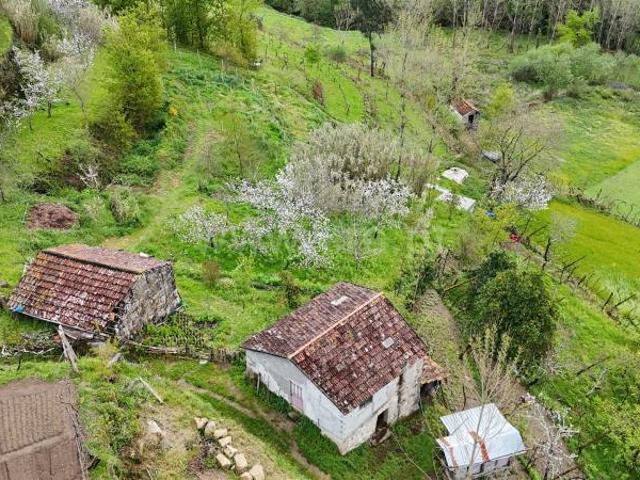 Quinta venda em Barreiro, Verderena