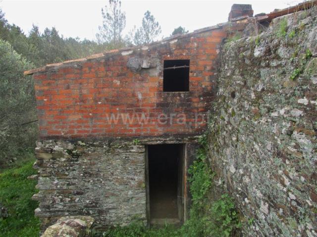 Quinta venda em Castelo Branco