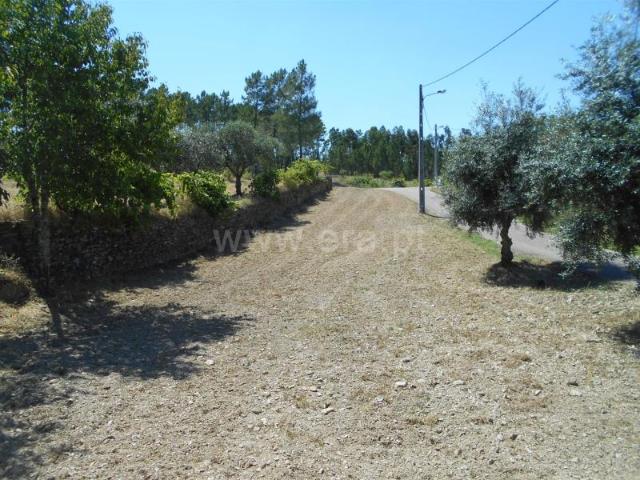 Quinta venda em Castelo Branco