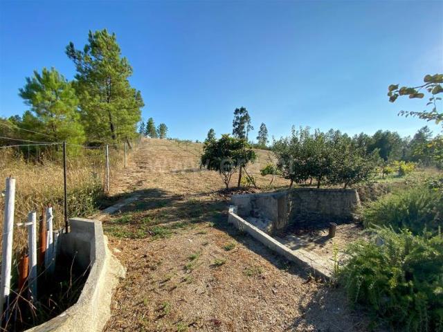 Quinta venda em Castelo Branco, Sarzedas
