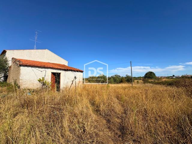 Quinta venda em Ladoeiro, Idanha-a-nova