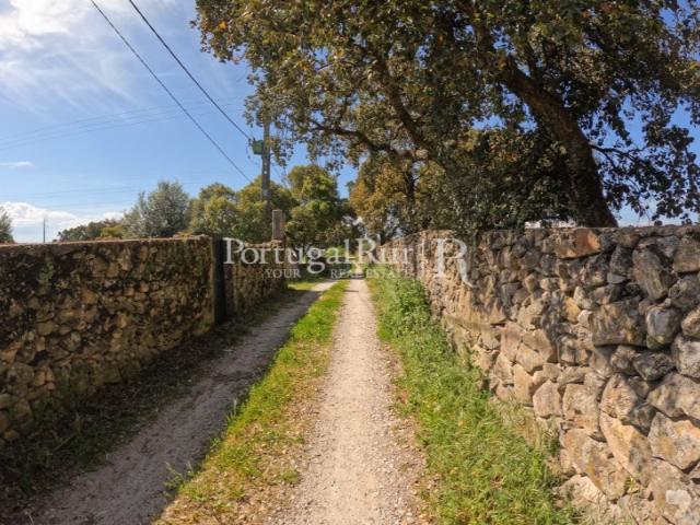Quinta venda em Castelo Branco