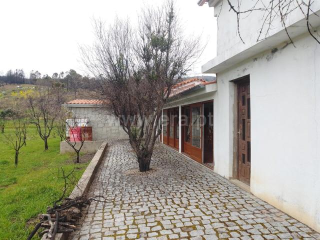 Quinta venda em Castelo Branco, Erada