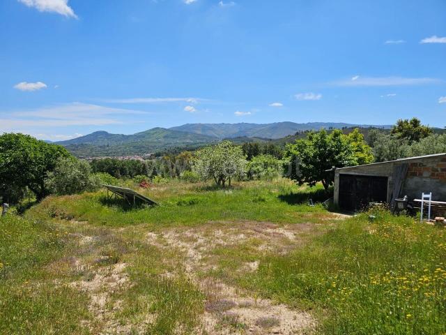 Quinta venda em Castelo Branco, Aldeia Nova Do Cabo
