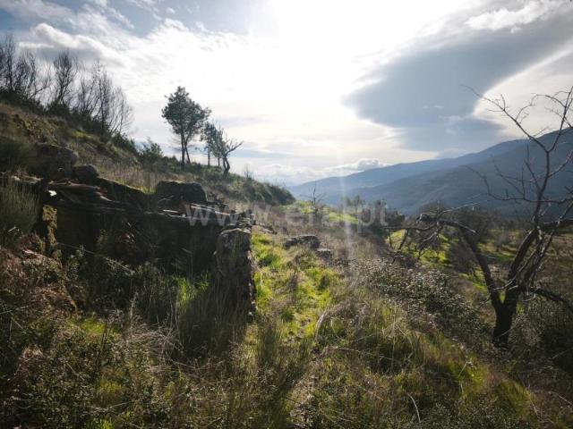 Quinta venda em Covilhã, Atalaia