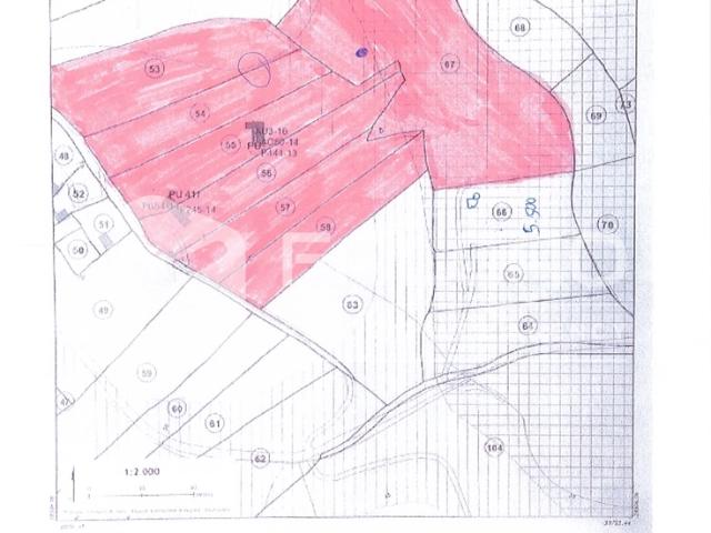 Commercial Land venda em Torres Novas