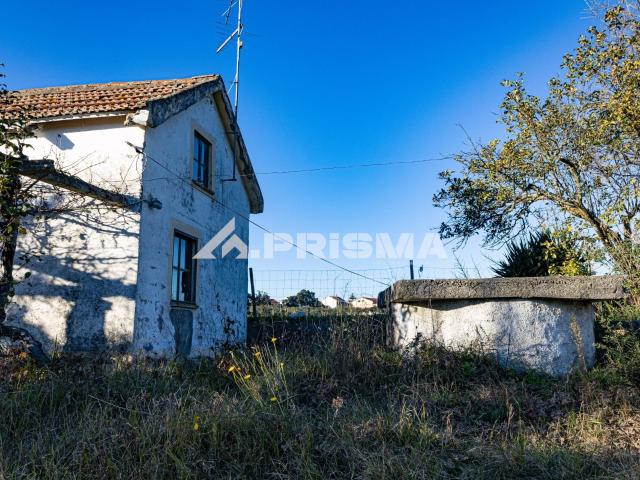 Quinta venda em Castelo Branco