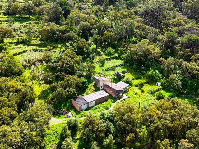 Quinta venda em Bom Retiro, Portimão