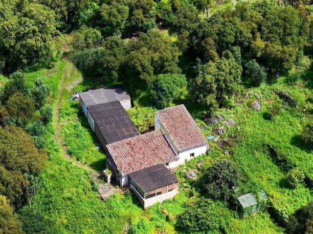 Quinta venda em Monchique, Faro