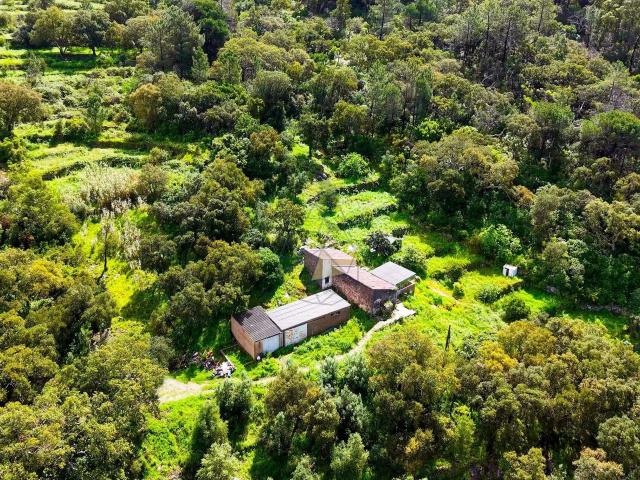 Quinta venda em Monchique