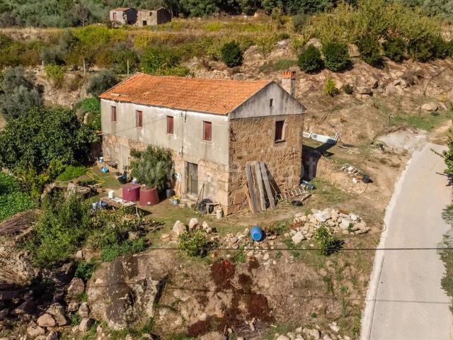 Quinta venda em Castelo Branco, Orjais