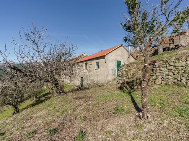 Quinta venda em Castelo Branco