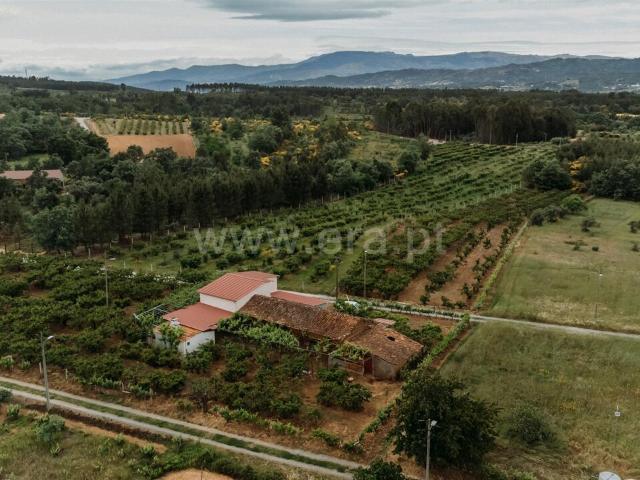 Quinta venda em Castelo Branco, Aldeia Nova Do Cabo