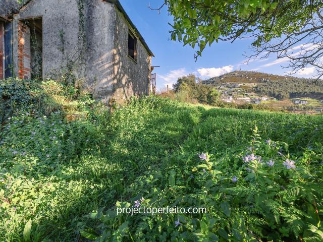 Quinta venda em Castelo De Paiva