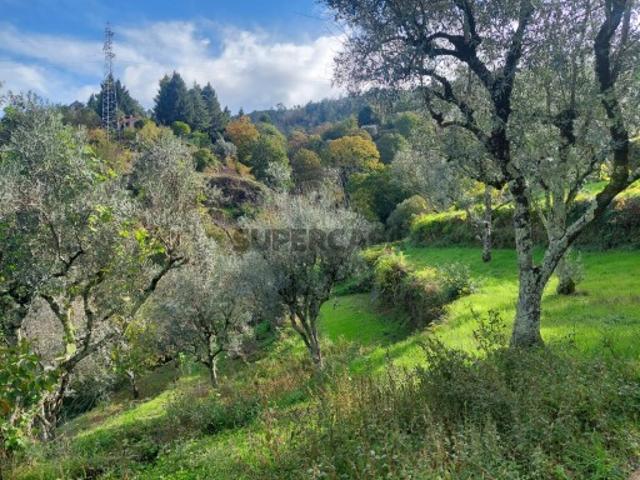 Casa venda em Guarda, Seia