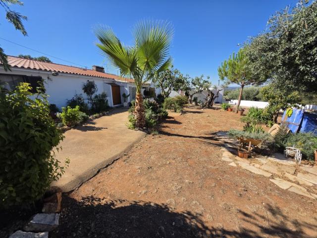 Quinta venda em Estremoz, Évora