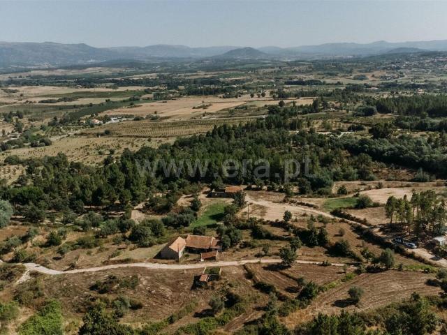 Quinta venda em Castelo Branco, Peraboa