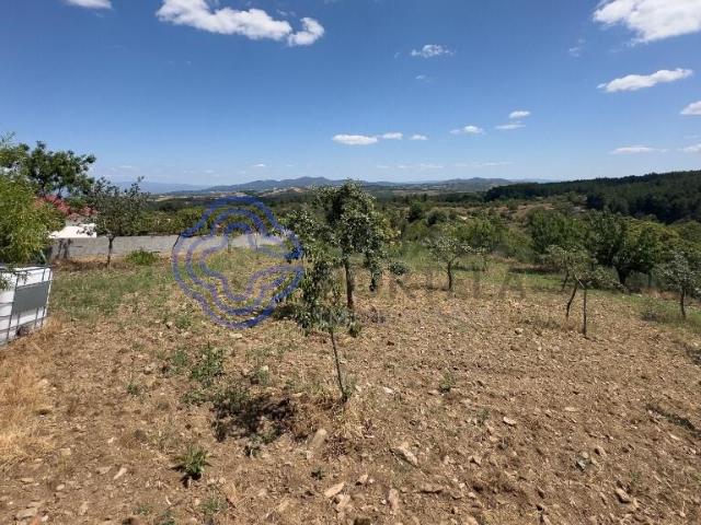 Quinta venda em Argeriz, Vila Real