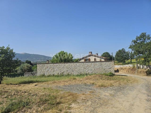 Quinta venda em Castelo Branco, Aldeia Nova Do Cabo