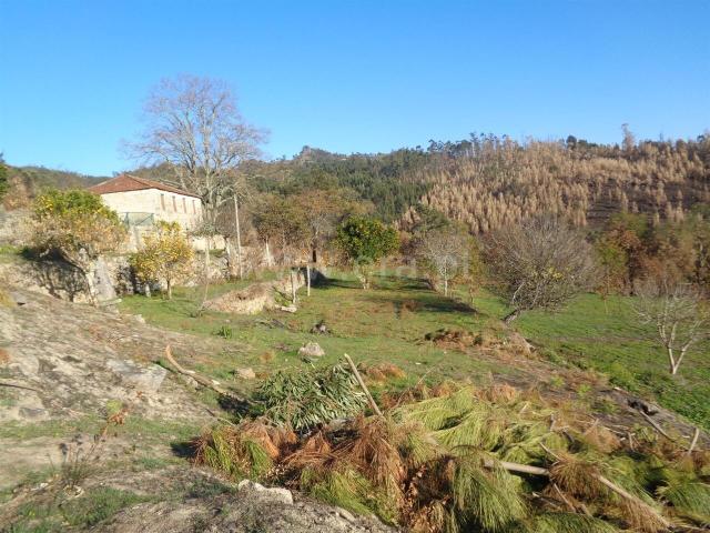 Quinta venda em Abrantes, Santarém