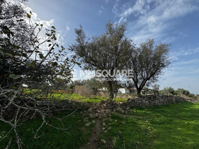 Quinta venda em Ourique, Beja