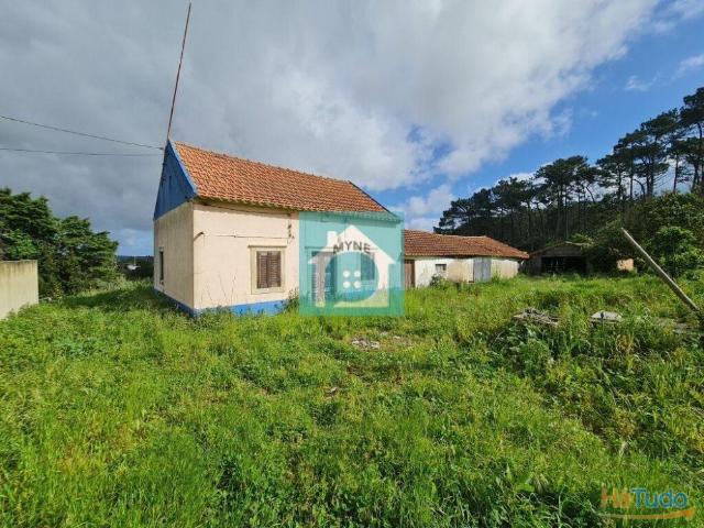 Casa venda em Alcobaça, Leiria