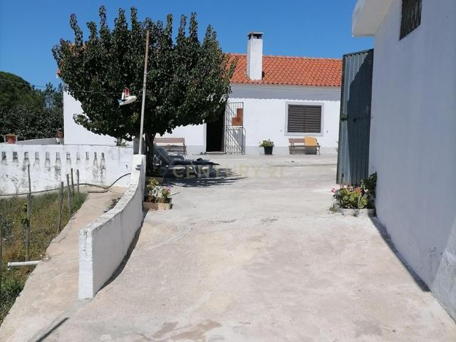 Quinta venda em Palmela, Setúbal