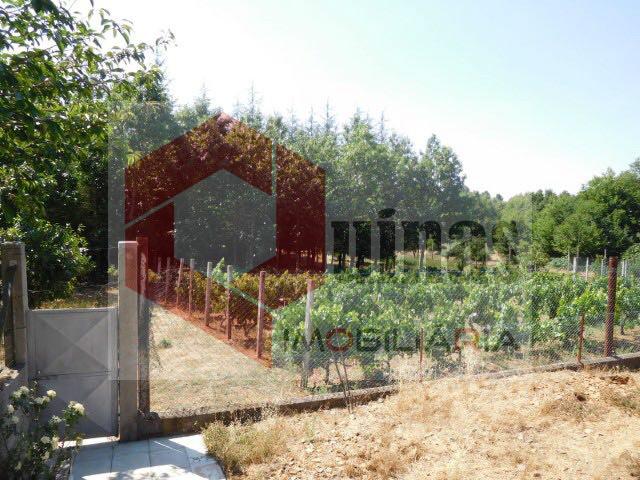 Quinta venda em Sabugal