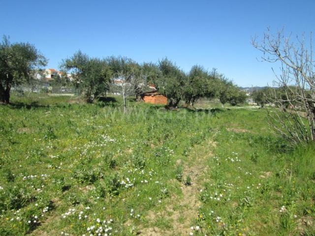 Quinta venda em Castelo Branco, Aldeia Nova Do Cabo