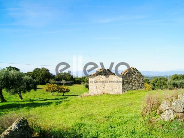 Quinta venda em Castelo Branco, Idanha-a-nova