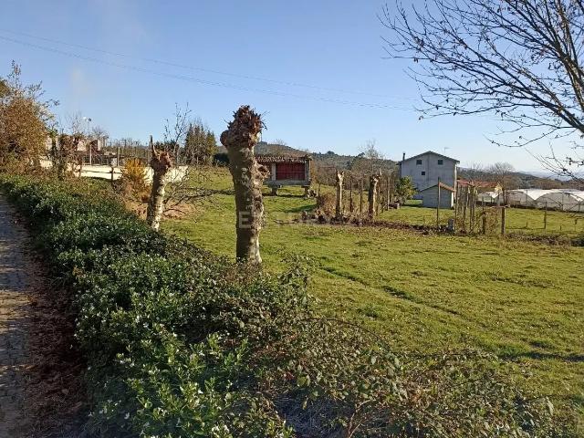 Casa venda em Póvoa De Lanhoso, Braga