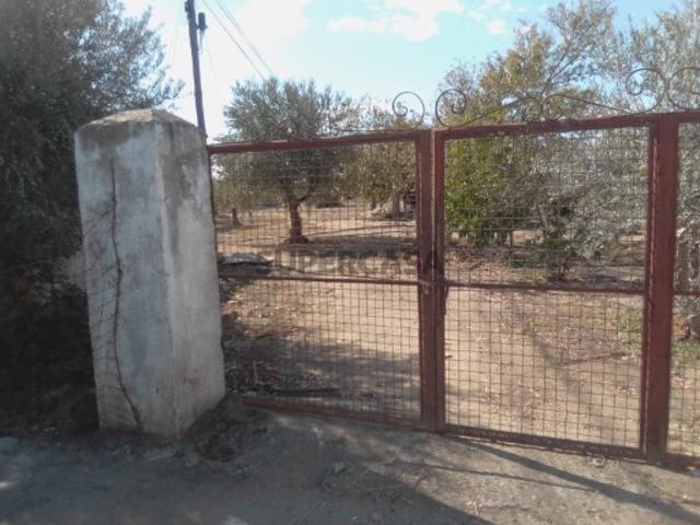 Casa venda em Reguengos De Monsaraz, Évora