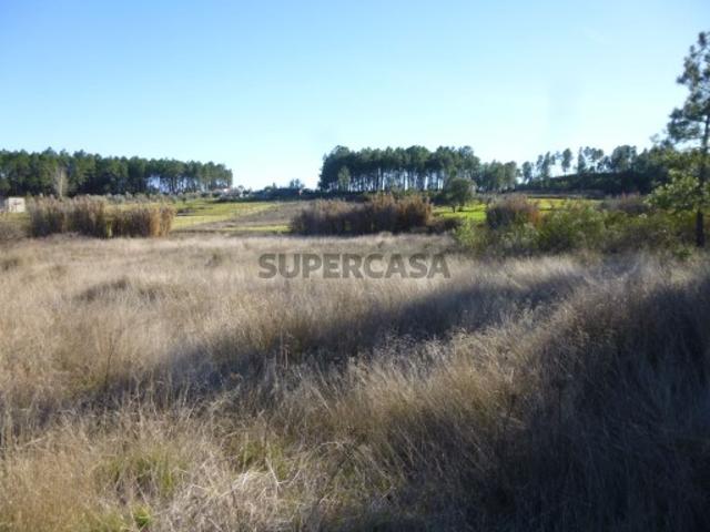 Terreno venda em Castelo Branco