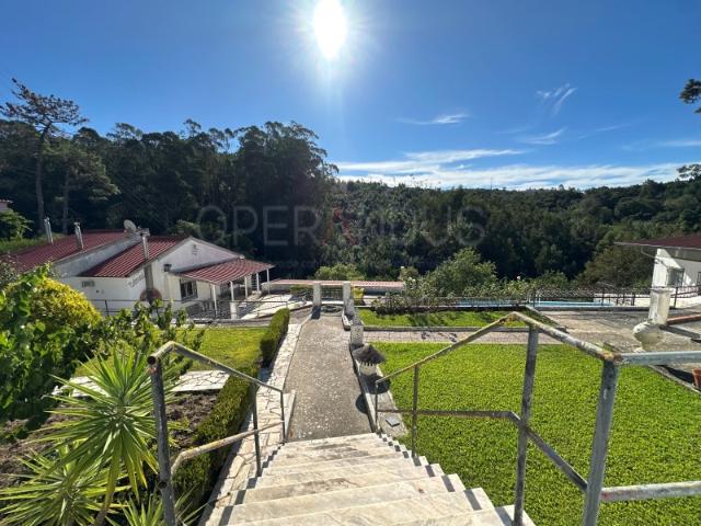 Quinta venda em Aruil de Baixo, Almargem do Bispo