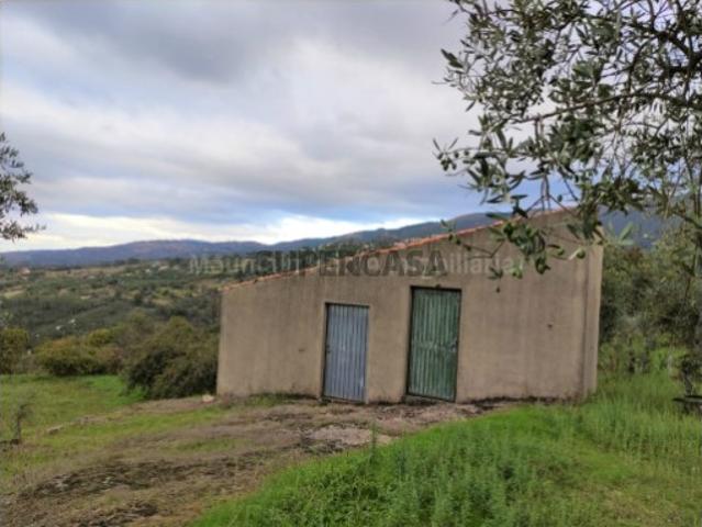 Casa venda em Guarda, São Julião