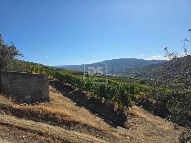 Quinta venda em Encambalados, Santa Marta De Penaguião
