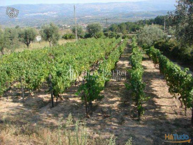 Quinta venda em Mourilhe, Viseu