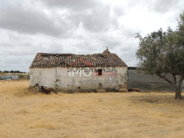 Casa venda em Monforte